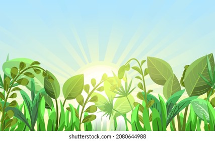 Tropical herbs and shrubs. Jungle meadow. Shoots of palm trees and nice summer weather. Funny cartoon style. Green countryside landscape. Close up. Bottom view. Vector