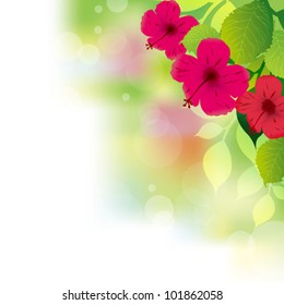 tropical hibiscus background