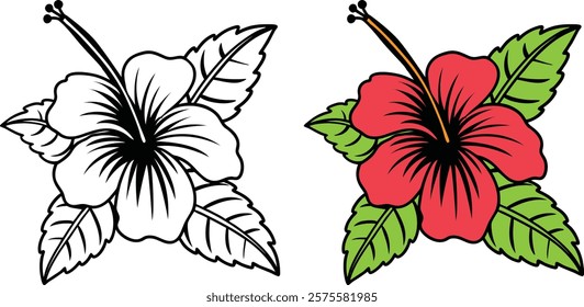 Tropical Hibiscus Flower Illustration Outline And Full Color.