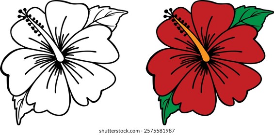 Tropical Hibiscus Flower Illustration Outline And Full Color.