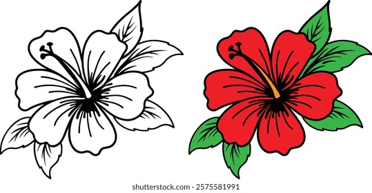 Tropical Hibiscus Flower Illustration Outline And Full Color.