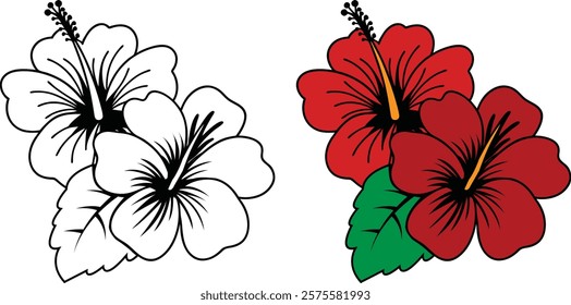 Tropical Hibiscus Flower Illustration Outline And Full Color.