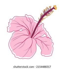 Tropical hibiscus flower Hibiscus. Pink decorative exotic flower vector illustration