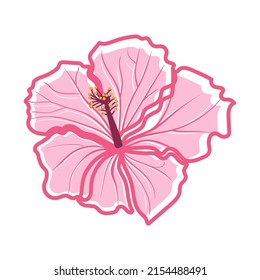 Tropical hibiscus flower Hibiscus. Pink decorative exotic flower vector illustration