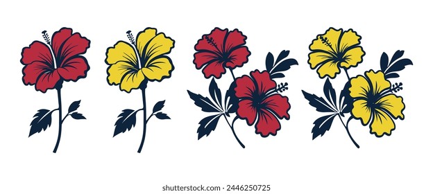 Tropical hibiscus flowers isolated on a white background.