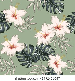 Tropical hibiscus flowers, monstera palm leaves, green background. Vector seamless pattern. Jungle foliage illustration. Exotic plants. Summer beach floral design. Paradise nature