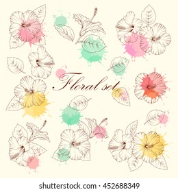 Tropical hibiscus flowers. Vector illustration.