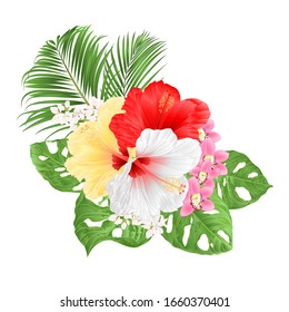 Tropical Hibiscus white  yellow red and orchids Cymbidium  pink  flowers and Monstera and palm  watercolor on a white background vintage vector illustration editable hand draw