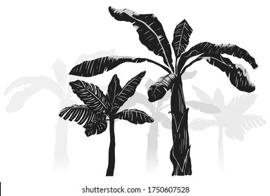 Tropical high contract plants illustration. Vector set. Hand drawn art. Black white vector illustration.