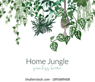 Tropical home plants in pots, urban jungle seamless border, hand drawn vector flat illustration