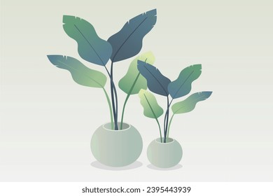 Tropical home plants in pots. Vector illustration.