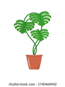 Tropical, home-grown, green plant growing in a pot. Element of design, office, study, room, street. Stock vector illustration isolated on a white background.