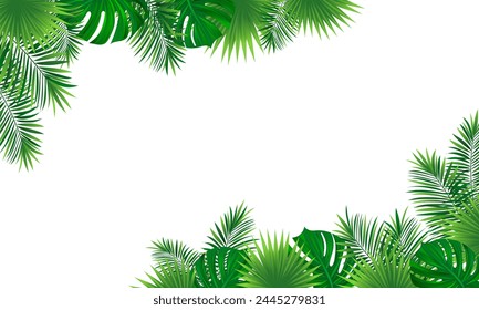 tropical horizontal border frame. Vector illustration with beautiful amazon rainforest tropic plants. Coconut palm and washingtonia leaves. Summer, travelling designs, posters and wallpapers.