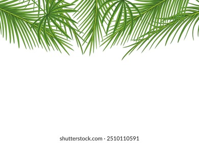 Tropical horizontal frame with palm leaves for party invitation, sale poster, banner and wedding card. Hand drawn illustration with a text place. Elements are not cropped, hidden under a clipping mask