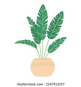 Tropical house plant pot. Ficus, monstera, protea, pellaea, succulent in various pot, vase. Scandinavian cozy home decor. Flat vector cartoon illustration isolated on white background.