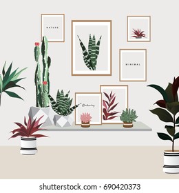  tropical house plants
