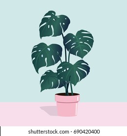  tropical house plants