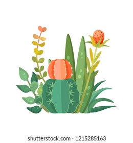 Tropical house plants and cactus composition. Decorative vector isolated succulents bouquet
