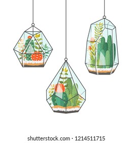 Tropical house plants and cactus in hanging terrariums or florariums. Decorative vector isolated succulents composition