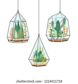 Tropical house plants and cactus in hanging terrariums or florariums. Decorative vector isolated succulents composition