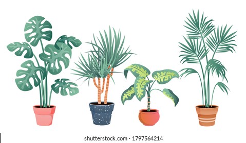 Tropical house plants decor vector illustration set. Cartoon flat potted plants from tropics botanical collection in clay pot for home garden decoration isolated on white