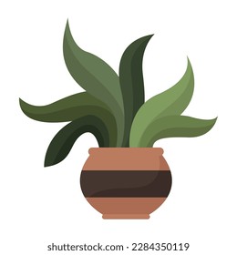 tropical houseplant in pot nature icon