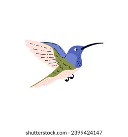 Pájaro colibrí tropical con un largo y turquesa plumaje. Caricatura hermosa colibri exótica pequeña ave silvestre de la selva tropical. Ilustración vectorial del animal de la fauna selvática aislado en blanco