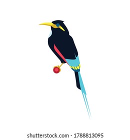 Tropical hummingbird with colorful plumage. Exotic beautiful bird with colored feathers and wings. Tropical nature wildlife design element cartoon vector illustration isolated on white background