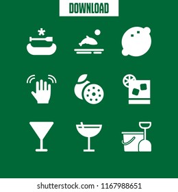 tropical icon. 9 tropical vector set. lemon, sand bucket, canoe and cocktails icons for web and design about tropical theme
