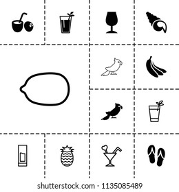 Tropical icon. collection of 13 tropical filled and outline icons such as cocktail, drink coconut, banana, flip flops, shell. editable tropical icons for web and mobile.