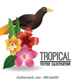 Tropical icon design 
