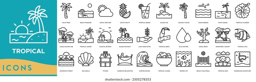 Tropical icon. Palm Trees, Beach Paradise, Sunny Weather, Exotic Fruits and Tropical Drinks