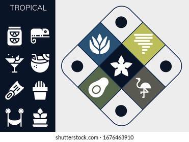 tropical icon set. 13 filled tropical icons.  Simple modern icons such as: Starfish, Hammock, Fern, Fins, Cactus, Martini, Coconut drink, Lemonade, Chameleon, Tornado, Aloe vera