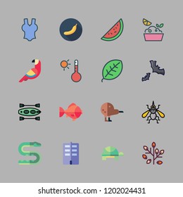 tropical icon set. vector set about flat, watermelon, lemon and leaves icons set.