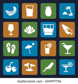 Tropical icons set. set of 16 tropical filled icons such as banana, parrot, cocktail, cocktail, palm, drink, drink coconut, umbrella, pineapple, island, flip flops