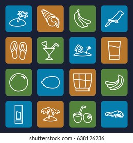Tropical icons set. set of 16 tropical outline icons such as alligator, parrot, orange, banana, lemon, cocktail, palm, home on island, drink, drink coconut, island, flip flops