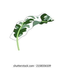 Tropical illustration art, tropical leaves vector file.