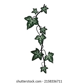 Tropical illustration art, tropical leaves vector file.
