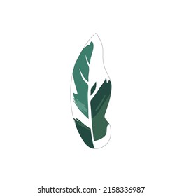Tropical illustration art, tropical leaves vector file.