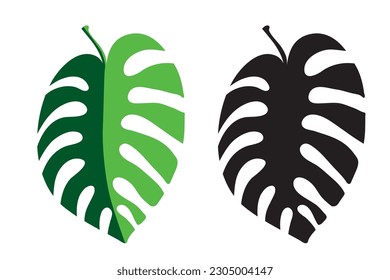 Tropical image plant, monstera leaf icon, illustration