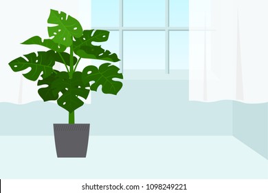 Tropical indoor plants vector illustration.