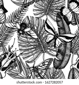 Tropical insects seamless pattern. Vector backdrop with hand drawn tropical plants,  palm leaves, insects. Vintage entomological background. Jungle design with tropical palms leaves and insects.