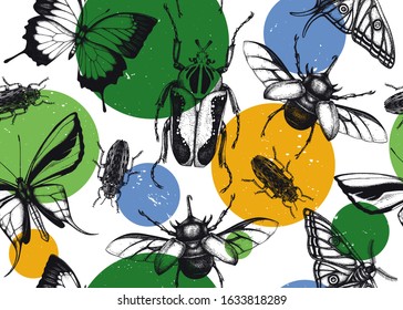 Tropical insects seamless pattern. Vector backdrop with hand drawn beetles and butterflies. Vintage entomological background. Trendy collage with realistic  tropical insects and geometric shapes. 