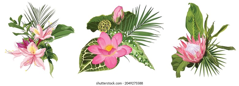 Tropical Invitation, floral invite thank you, rsvp modern card Design. Set of tropical bouquet with exotic pink flowers and green herbs and leaves.