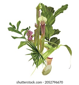 Tropical Invitation, floral invite thank you, rsvp modern card Design. Tropical bouquet with exotic Sarracenia and green  leaves.