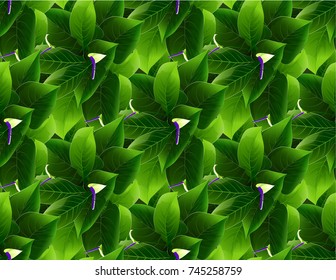 Tropical island circlet of beautiful plants leaf seamless vectors