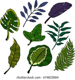 Tropical island leaves pop art set. Vector illustration in comic style. EPS 10.