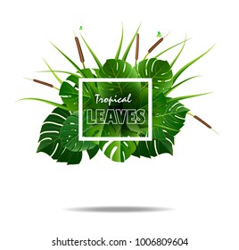 Tropical island monstera leaves of beautiful plants flowers and exotic parrots frame. vector illustration.