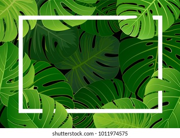 Tropical island monstera leaves of beautiful plants flowers and exotic parrots frame. vector illustration.