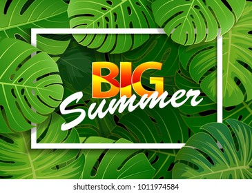 Tropical island monstera leaves of beautiful plants monstera and big summer type on frame. vector illustration.